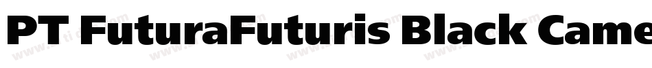 PT FuturaFuturis Black Cameo Cyrillic字体转换